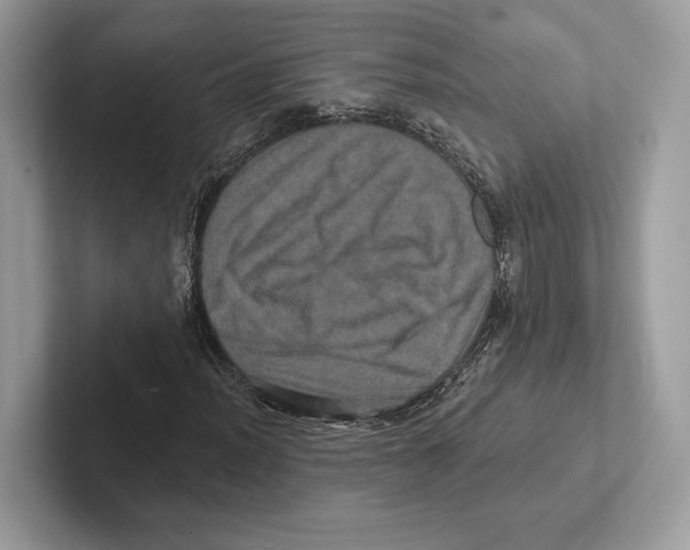 X0000100921012200807221111