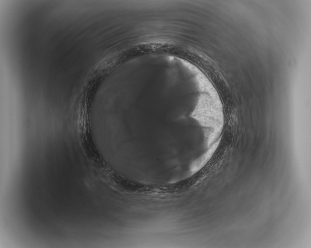 X0000100921014200807221111