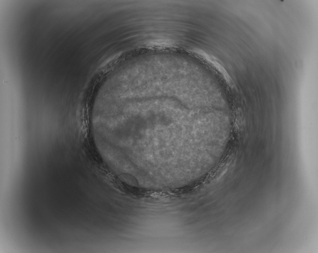 X0000100921015200807221111