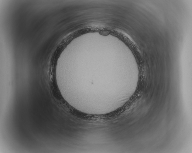 X0000100921016200807221111