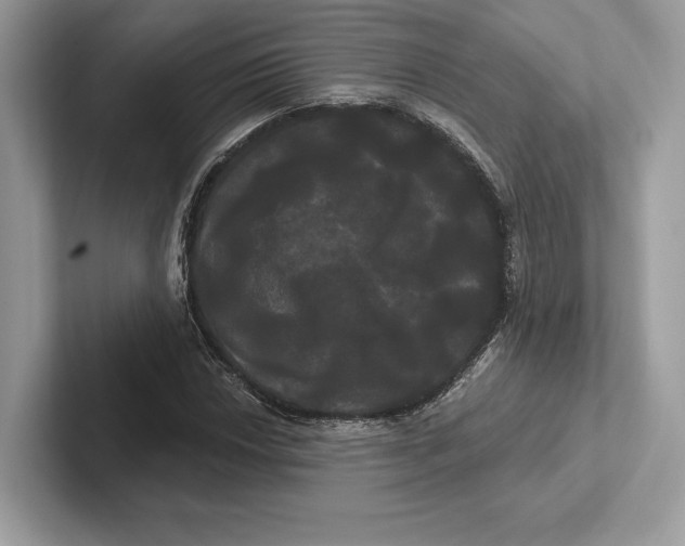 X0000100921018200807221111