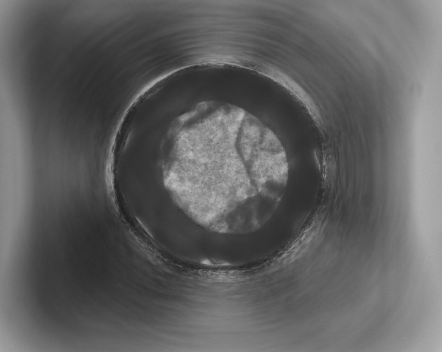 X0000100921020200807221111