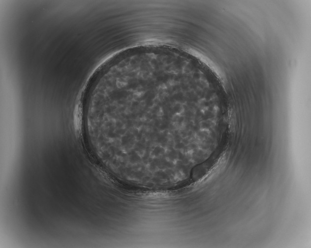 X0000100921021200807221111