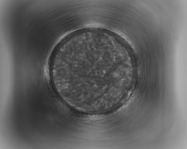 X0000100921022200807221111