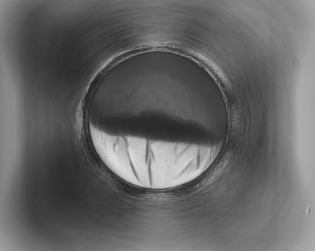 X0000100921023200807221111