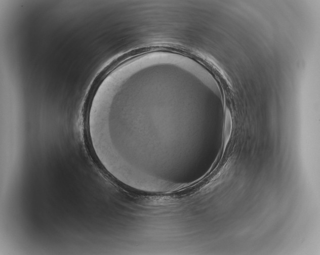 X0000100921024200807221111
