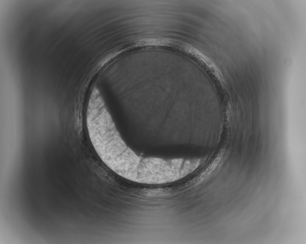 X0000100921025200807221111
