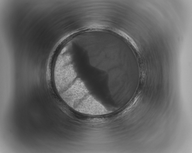 X0000100921027200807221111