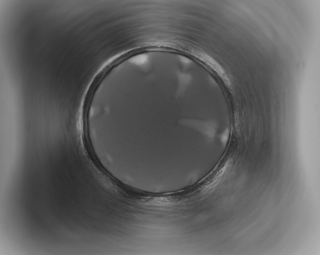 X0000100921028200807221111