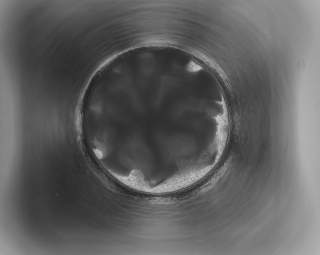 X0000100921029200807221111