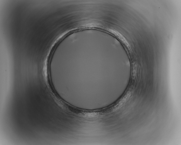 X0000100921031200807221111