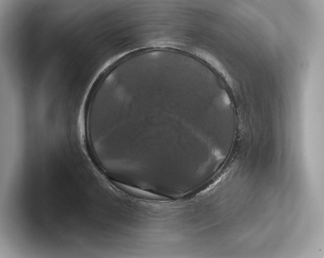 X0000100921032200807221111