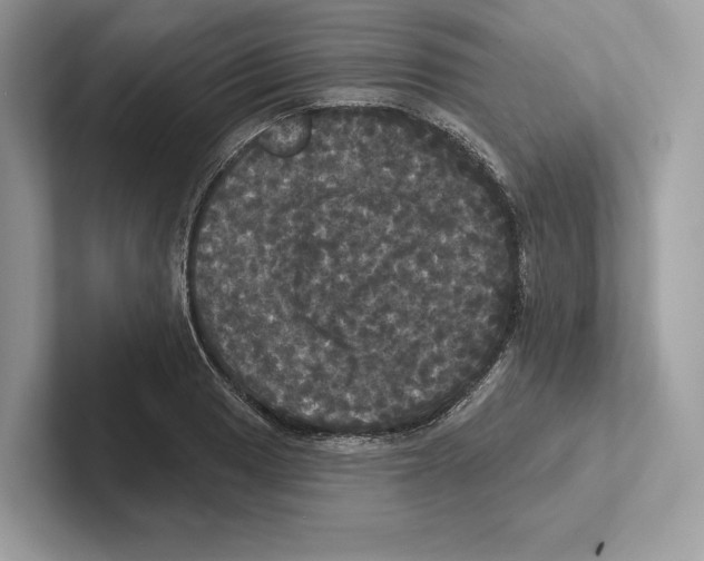 X0000100921033200807221111
