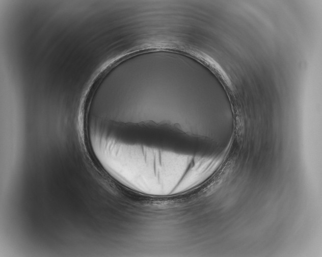 X0000100921035200807221111