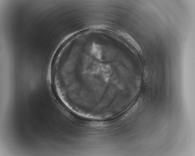 X0000100921036200807221111