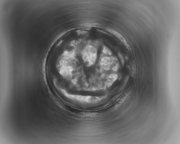 X0000100921039200807221111