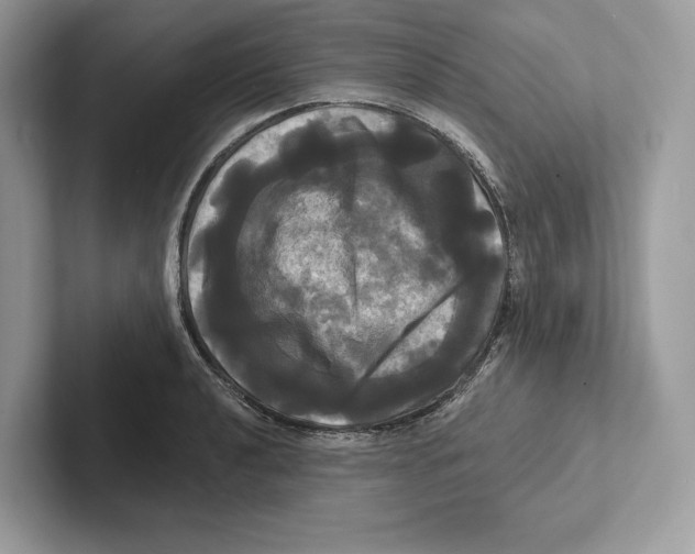X0000100921040200807221111