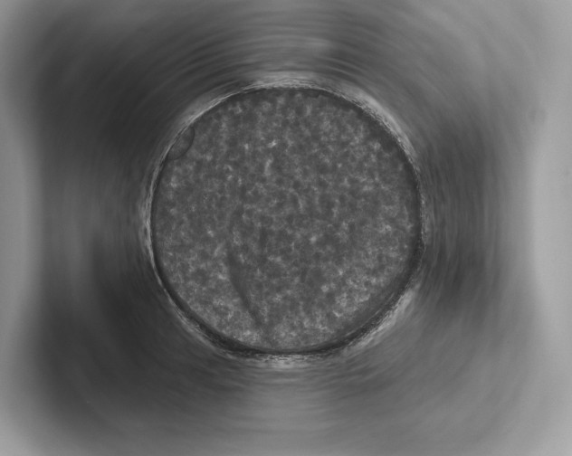 X0000100921041200807221111