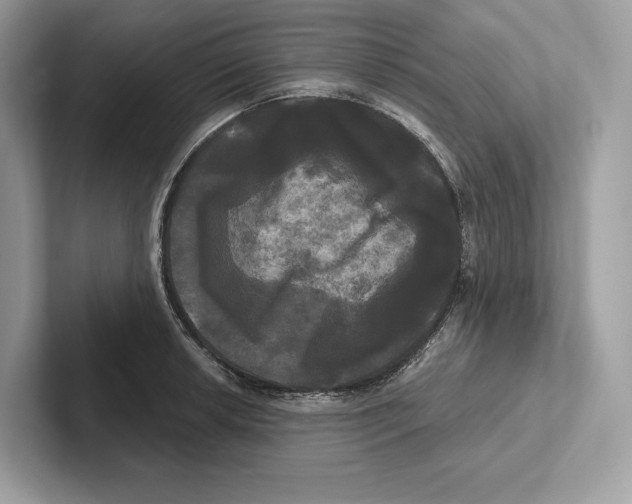X0000100921042200807221111