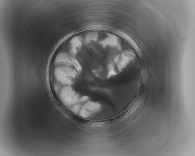 X0000100921043200807221111