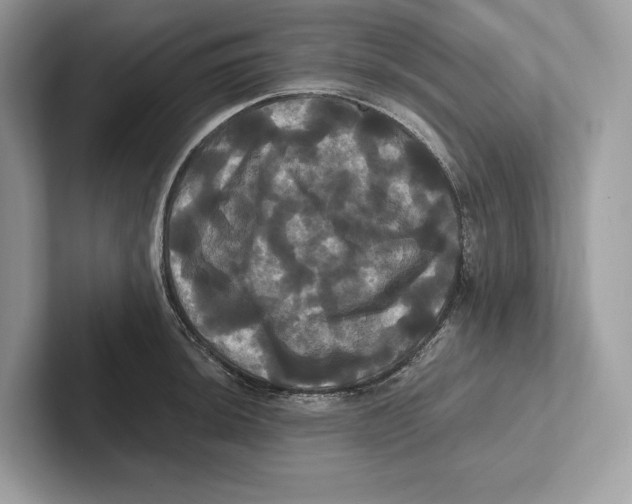 X0000100921044200807221111