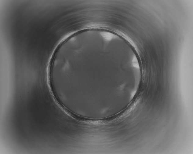 X0000100921045200807221111