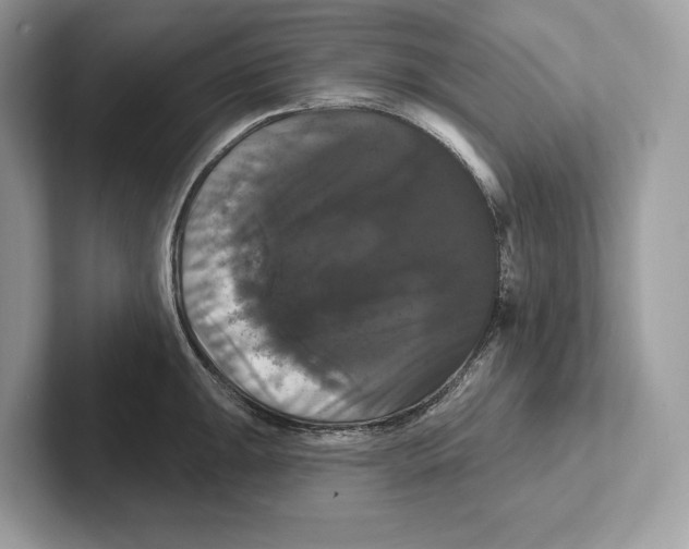 X0000100921047200807221112