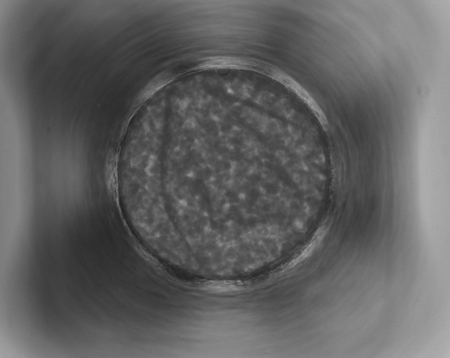 X0000100921049200807221112