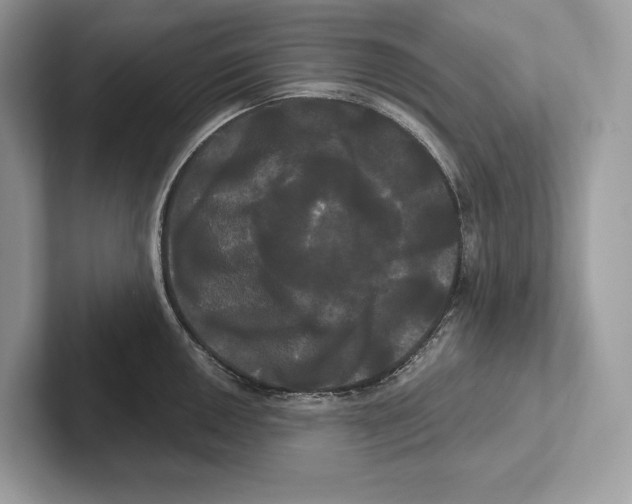 X0000100921050200807221112