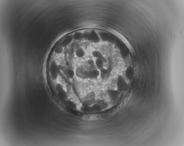 X0000100921051200807221112