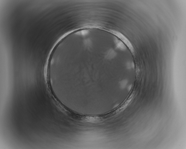X0000100921052200807221112