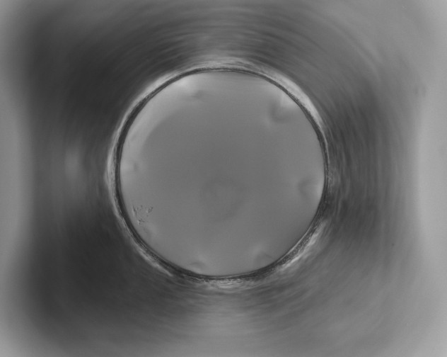 X0000100921053200807221112