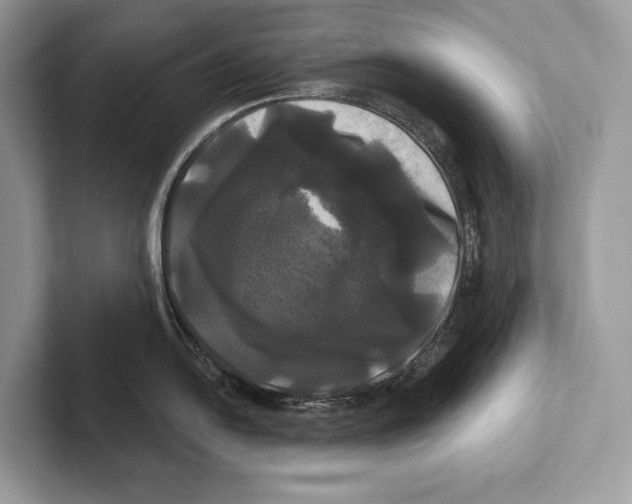 X0000100921054200807221112