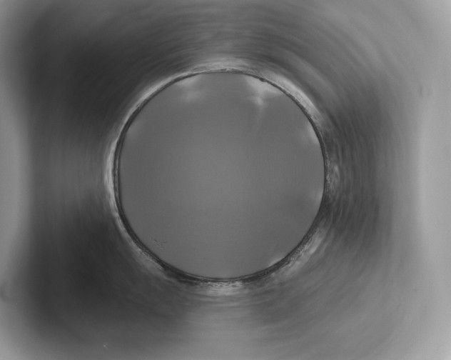 X0000100921055200807221112