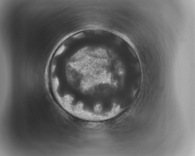 X0000100921056200807221112