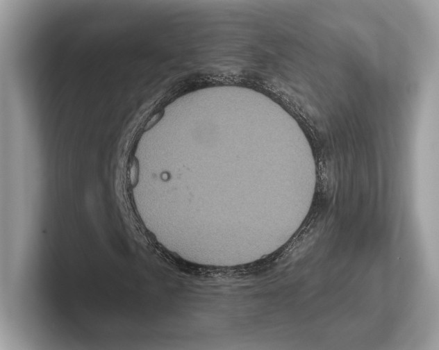 X0000100921057200807221111