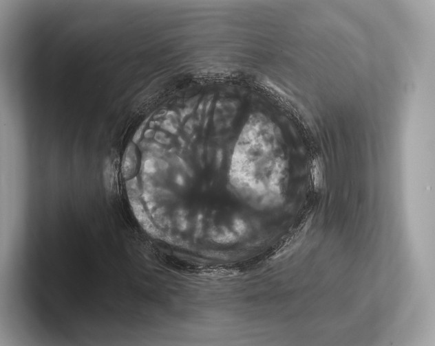 X0000100921059200807221111