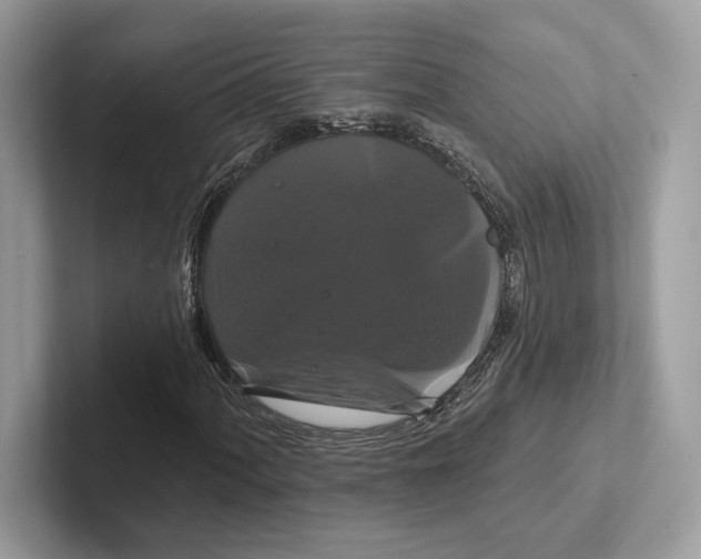 X0000100921060200807221111