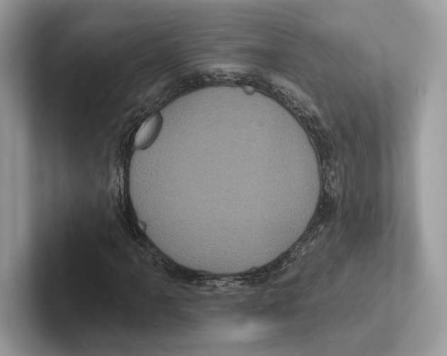 X0000100921061200807221111