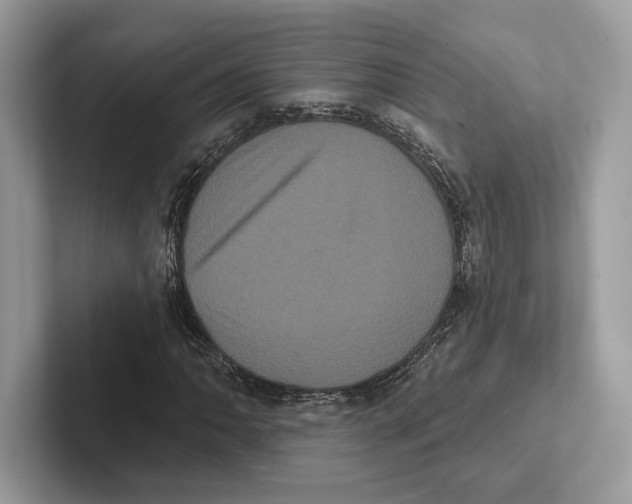 X0000100921062200807221111