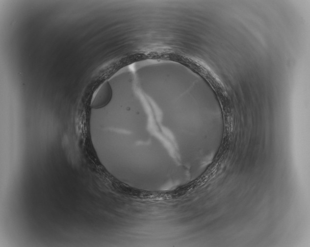 X0000100921063200807221111