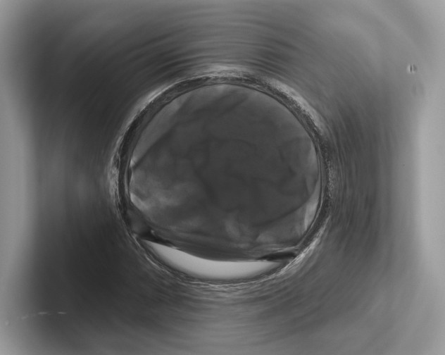 X0000100921066200807221111