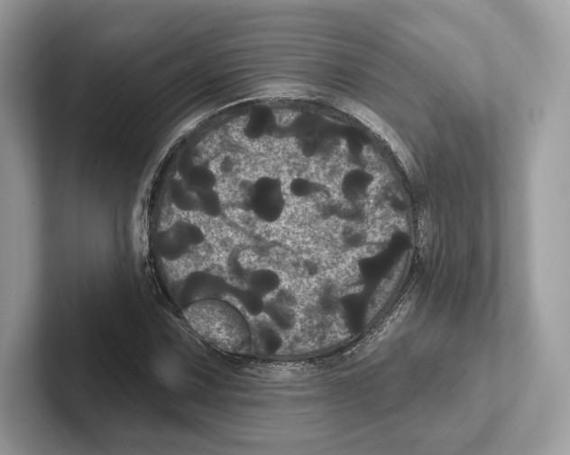 X0000100921067200807221111