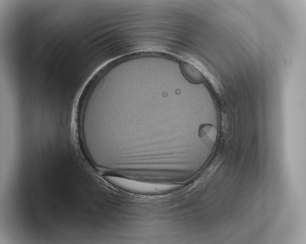 X0000100921068200807221111