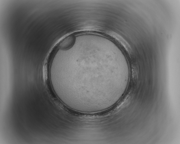 X0000100921069200807221111