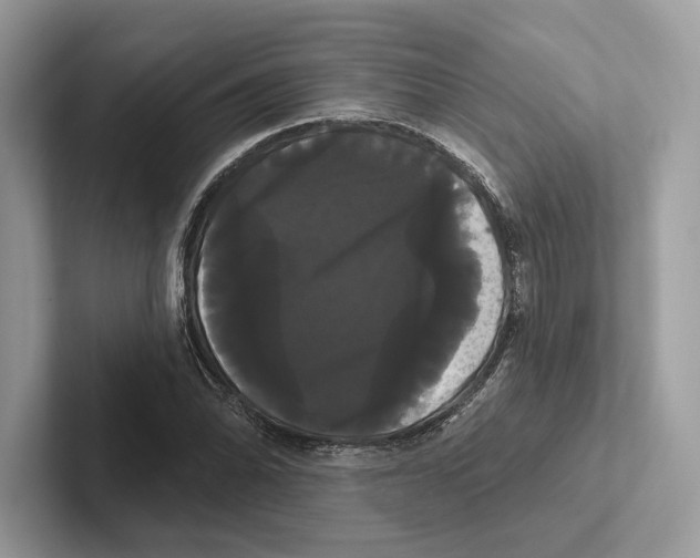 X0000100921070200807221111