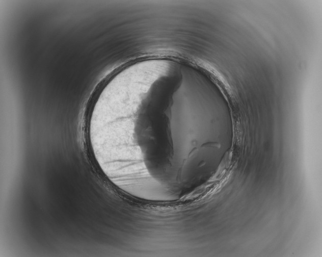 X0000100921071200807221111