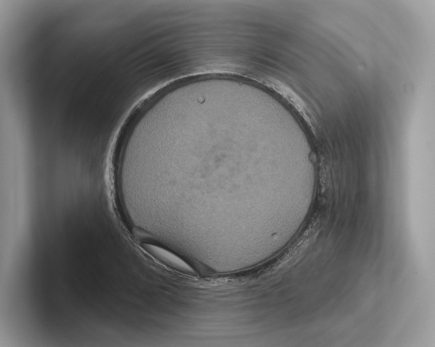 X0000100921072200807221111