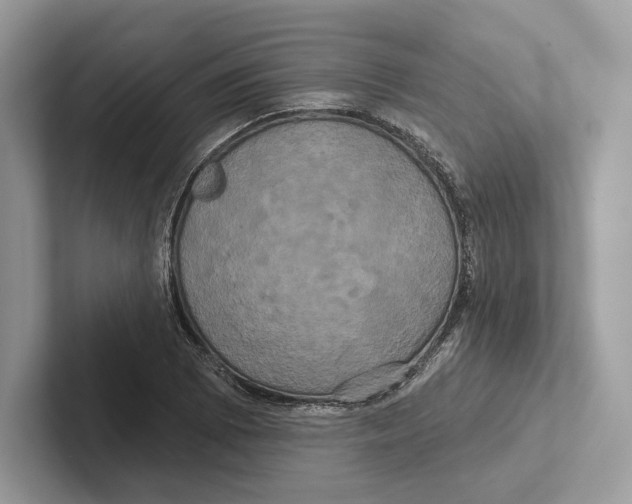 X0000100921073200807221111