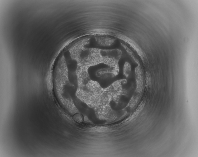 X0000100921075200807221111